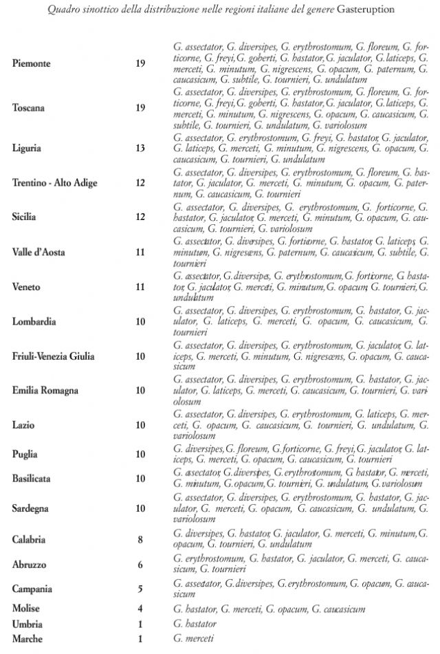 Gasteruptiidae: Gasteruption jaculator. No, femmina di G. caucasicum